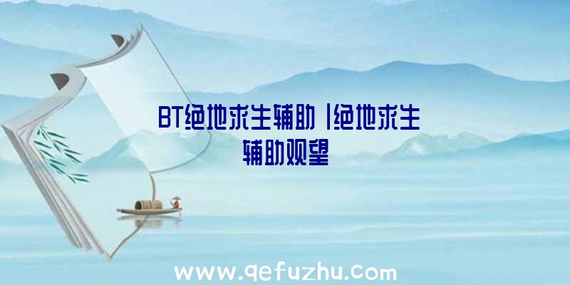 「BT绝地求生辅助」|绝地求生辅助观望